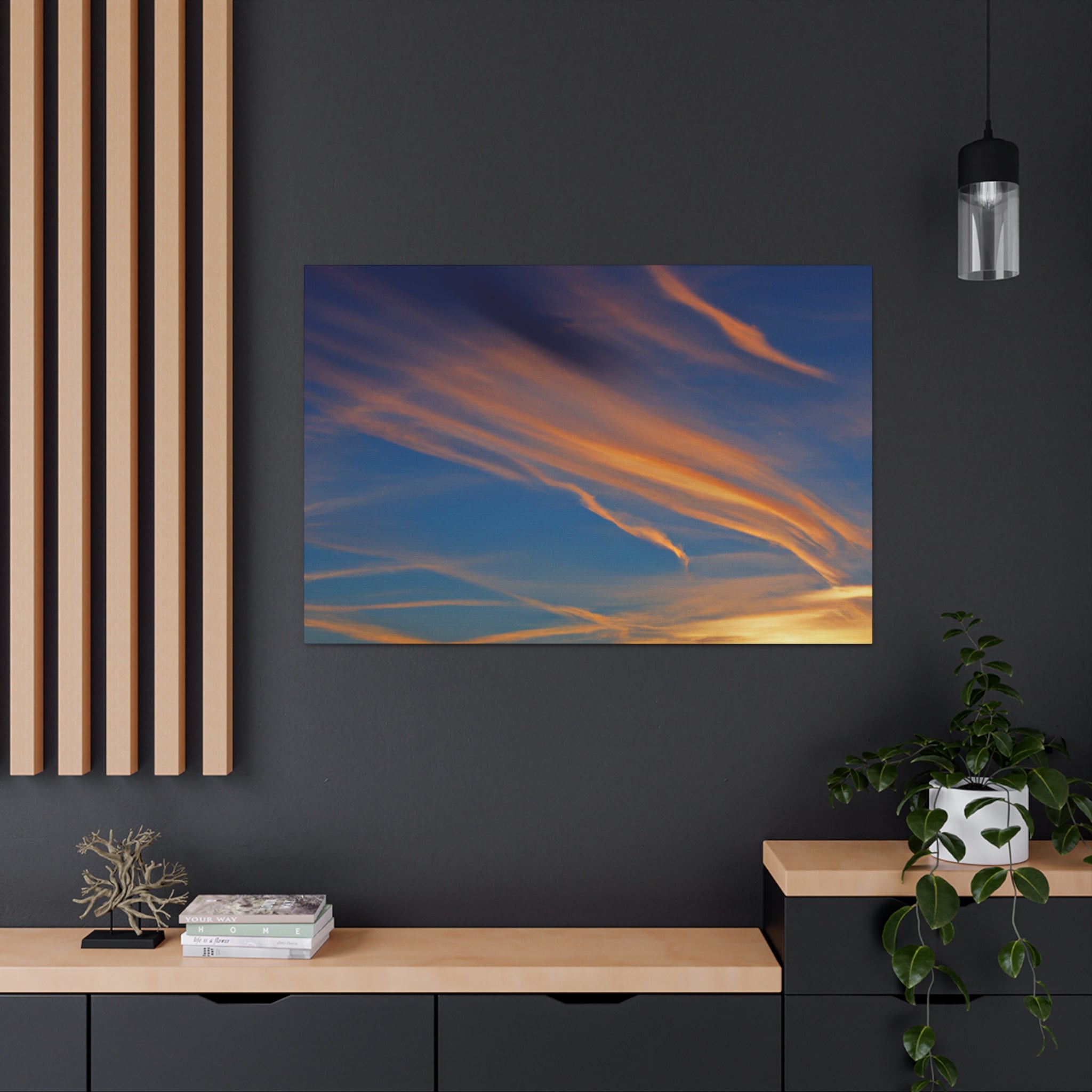 Robyn de la Rocha - Canvas