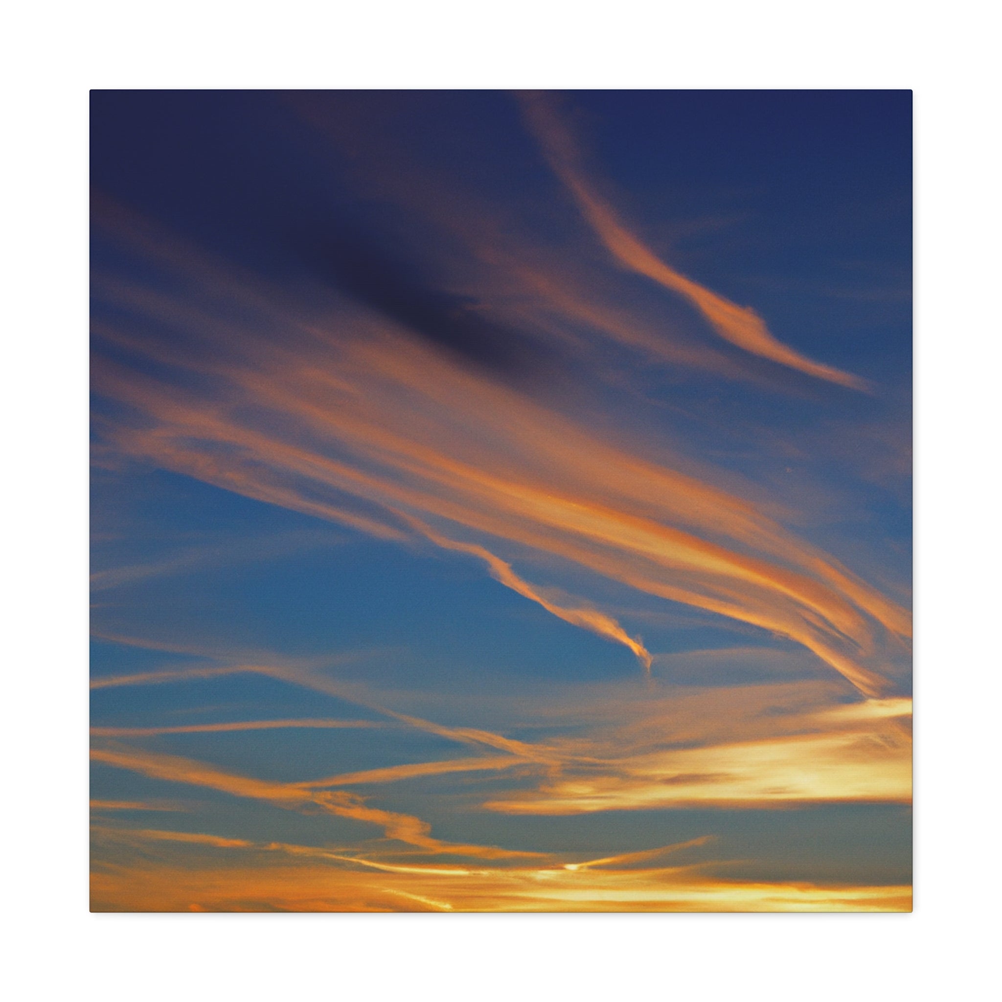 Robyn de la Rocha - Canvas