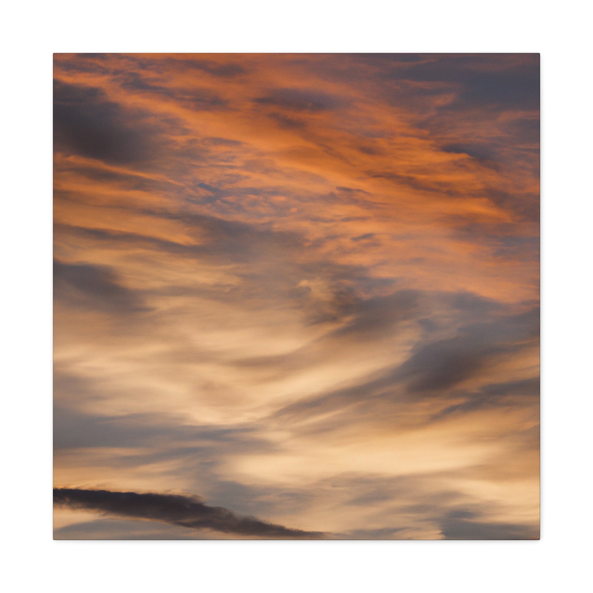 Bartholomeus van Loon - Canvas